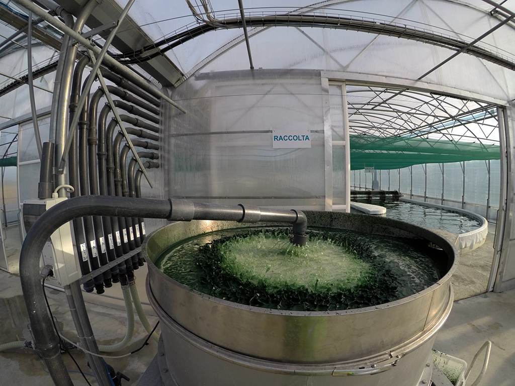 Sieving
